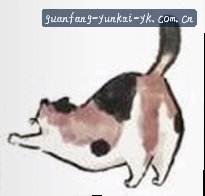 刘洋